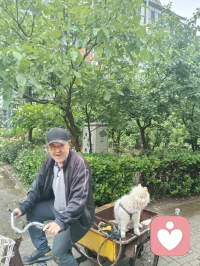 津门晨雨遇灵犬，市井藏大爱修行者！
 
雨后津门的清晨，空气里带着草木与泥土的清润。三轮车上的小白狗，前几日还对着我吠叫，被我一声草原狼啸震慑后，如今见我便温顺得像团棉花，今早更是吐着粉舌头，在车斗里歪头卖萌，眼里满是软乎乎的依赖。它的主人，是一位退伍老兵。他日日踩着三轮车拾废品，衣衫朴素，生活清简，却悄悄把积蓄捐给了慈善，把烟火日子过成了至真至纯的修行。那日我在楼下漫步，撞见他在废品堆旁捧着书读，阳光穿过树叶，落在他花白的鬓角和旧旧的衣衫上，那一刻，市井的尘埃都成了他身上的光，我忽然红了眼眶。原来大爱从不在喧嚣里，本真也从不在浮华里。他不张扬，不喧哗，却用半生朴素，活出了最滚烫的真善美；他的小狗，从野性吠叫到温顺亲近，也在无声的相处里，读懂了人心的赤诚。就像宇凡道里说的，大道至简，本真自明。真正的修行，从来不在深山古刹，而在市井烟火里的坚守与善意。他和他的小狗，就像这津门雨后的清风，用最朴素的模样，告诉我：温柔与大爱，从来都藏在不为人知的细节里，在日复一日的本真里，温暖着人间。愿这世间所有朴素的善意，都能被看见；愿所有坚守本心的修行者，都能被岁月温柔以待。配图