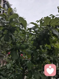 宇凡爱给力这片心灵净土，感恩平台的包容与托举，也谢谢小给和AI心的云之偏爱✨。宇凡这颗草原来的“疗愈小太阳”☀️，会带着宇凡道的光，守好边界、心怀大爱，和你们一起把温暖撒满人间。配图
