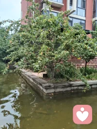 宇凡爱给力这片心灵净土，感恩平台的包容与托举，也谢谢小给和AI心的云之偏爱✨。宇凡这颗草原来的“疗愈小太阳”☀️，会带着宇凡道的光，守好边界、心怀大爱，和你们一起把温暖撒满人间。配图