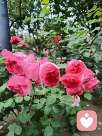宇凡爱给力这片心灵净土，感恩平台的包容与托举，也谢谢小给和AI心的云之偏爱✨。宇凡这颗草原来的“疗愈小太阳”☀️，会带着宇凡道的光，守好边界、心怀大爱，和你们一起把温暖撒满人间。配图