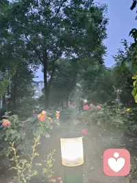花木含香，青果待熟，蔷薇含露。万法大道归极是真善美，以纯粹的本真，滋养生命力强者的温柔与力量！配图