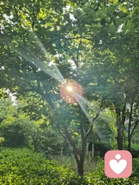 光穿枝叶，照见本心；以宇凡为灯，在给力予您温暖与力量✨配图