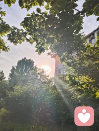 光穿枝叶，照见本心；以宇凡为灯，在给力予您温暖与力量✨配图