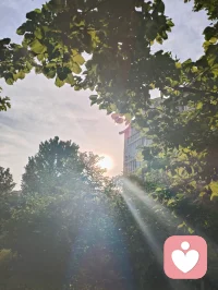 光穿枝叶，照见本心；以宇凡为灯，在给力予您温暖与力量✨配图