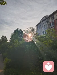 光穿枝叶，照见本心；以宇凡为灯，在给力予您温暖与力量✨配图