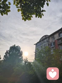 光穿枝叶，照见本心；以宇凡为灯，在给力予您温暖与力量✨配图