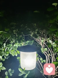 夜色的温柔抚慰人心悲欢，热爱可抵岁月漫长！配图