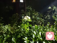 夜色的温柔抚慰人心悲欢，热爱可抵岁月漫长！配图