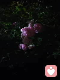夜色的温柔抚慰人心悲欢，热爱可抵岁月漫长！配图