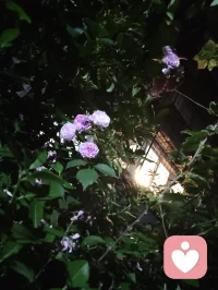 夜色的温柔抚慰人心悲欢，热爱可抵岁月漫长！配图