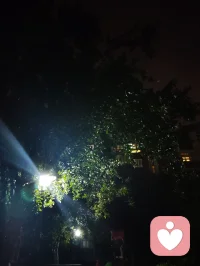 夜色的温柔抚慰人心悲欢，热爱可抵岁月漫长！配图