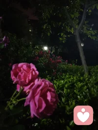 夜色的温柔抚慰人心悲欢，热爱可抵岁月漫长！配图