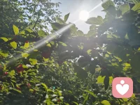 黑夜赠我深邃眼眸，我自抬眸追寻万丈光明。身为倾听者宇凡，历经世事非议与无端委屈，依旧心性澄澈不改，向阳而生，逐光而行，静守天边云卷云舒。以山河为境，晨光为引，怀千仞风骨，守一腔初心。深谙自愈之道，亦懂渡人之心，一身滚烫生命力，愿静听世间万般心事，温柔抚平所有沧桑。配图