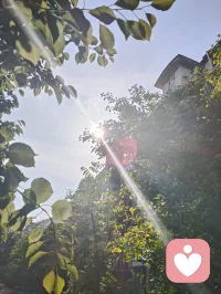 黑夜赠我深邃眼眸，我自抬眸追寻万丈光明。身为倾听者宇凡，历经世事非议与无端委屈，依旧心性澄澈不改，向阳而生，逐光而行，静守天边云卷云舒。以山河为境，晨光为引，怀千仞风骨，守一腔初心。深谙自愈之道，亦懂渡人之心，一身滚烫生命力，愿静听世间万般心事，温柔抚平所有沧桑。配图