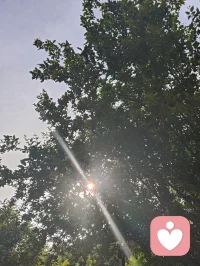 黑夜赠我深邃眼眸，我自抬眸追寻万丈光明。身为倾听者宇凡，历经世事非议与无端委屈，依旧心性澄澈不改，向阳而生，逐光而行，静守天边云卷云舒。以山河为境，晨光为引，怀千仞风骨，守一腔初心。深谙自愈之道，亦懂渡人之心，一身滚烫生命力，愿静听世间万般心事，温柔抚平所有沧桑。配图