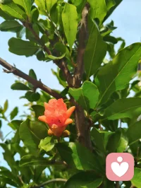 黑夜赠我深邃眼眸，我自抬眸追寻万丈光明。身为倾听者宇凡，历经世事非议与无端委屈，依旧心性澄澈不改，向阳而生，逐光而行，静守天边云卷云舒。以山河为境，晨光为引，怀千仞风骨，守一腔初心。深谙自愈之道，亦懂渡人之心，一身滚烫生命力，愿静听世间万般心事，温柔抚平所有沧桑。配图