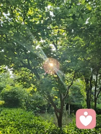 黑夜赠我深邃眼眸，我自抬眸追寻万丈光明。身为倾听者宇凡，历经世事非议与无端委屈，依旧心性澄澈不改，向阳而生，逐光而行，静守天边云卷云舒。以山河为境，晨光为引，怀千仞风骨，守一腔初心。深谙自愈之道，亦懂渡人之心，一身滚烫生命力，愿静听世间万般心事，温柔抚平所有沧桑。配图