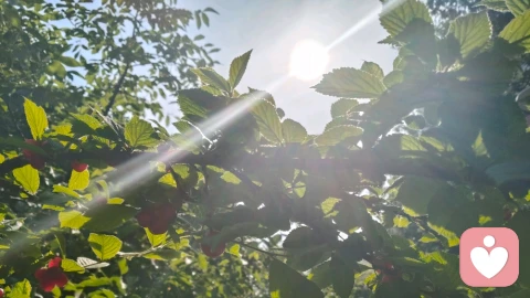 黑夜予我眼眸,我以山河寻光明太阳☀️