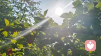 黑夜予我眼眸，我以山河寻光明太阳☀️