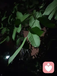 真正的强大是内核稳如深海，心定则万事皆安。配图