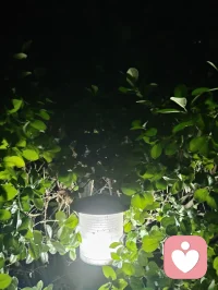 真正的强大是内核稳如深海，心定则万事皆安。配图