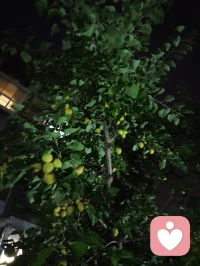 真正的强大是内核稳如深海，心定则万事皆安。配图