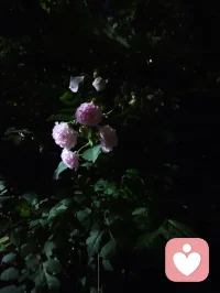 真正的强大是内核稳如深海，心定则万事皆安。配图