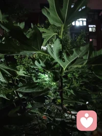 真正的强大是内核稳如深海，心定则万事皆安。配图