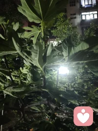 真正的强大是内核稳如深海，心定则万事皆安。配图