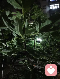 真正的强大是内核稳如深海，心定则万事皆安。配图