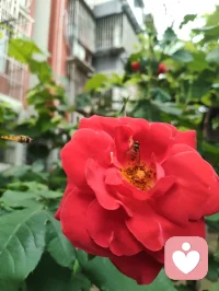 心向归途，时日消减；心向热爱，岁月丰盈。
宇凡道言：活着，本就是一场阴阳流转的修行。
以心为轴，敬畏消减，创造丰盈，终得心性自洽，圆满如太极。配图