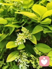 心向归途，时日消减；心向热爱，岁月丰盈。
宇凡道言：活着，本就是一场阴阳流转的修行。
以心为轴，敬畏消减，创造丰盈，终得心性自洽，圆满如太极。配图