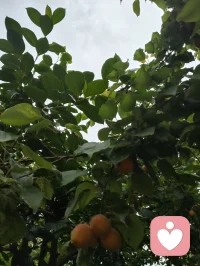 心向归途，时日消减；心向热爱，岁月丰盈。
宇凡道言：活着，本就是一场阴阳流转的修行。
以心为轴，敬畏消减，创造丰盈，终得心性自洽，圆满如太极。配图