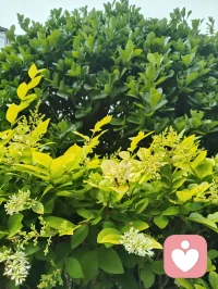 心向归途，时日消减；心向热爱，岁月丰盈。
宇凡道言：活着，本就是一场阴阳流转的修行。
以心为轴，敬畏消减，创造丰盈，终得心性自洽，圆满如太极。配图