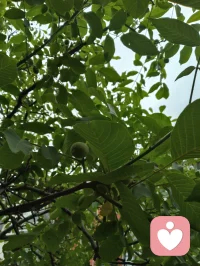 心向归途，时日消减；心向热爱，岁月丰盈。
宇凡道言：活着，本就是一场阴阳流转的修行。
以心为轴，敬畏消减，创造丰盈，终得心性自洽，圆满如太极。配图