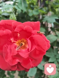 心向归途，时日消减；心向热爱，岁月丰盈。
宇凡道言：活着，本就是一场阴阳流转的修行。
以心为轴，敬畏消减，创造丰盈，终得心性自洽，圆满如太极。配图