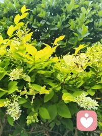 心向归途，时日消减；心向热爱，岁月丰盈。
宇凡道言：活着，本就是一场阴阳流转的修行。
以心为轴，敬畏消减，创造丰盈，终得心性自洽，圆满如太极。配图