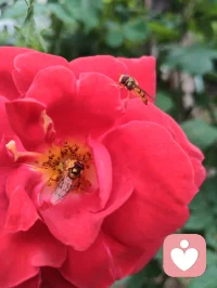 心向归途，时日消减；心向热爱，岁月丰盈。
宇凡道言：活着，本就是一场阴阳流转的修行。
以心为轴，敬畏消减，创造丰盈，终得心性自洽，圆满如太极。配图