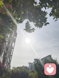 天道之歌 ！！！天地不言，自有纲常。日月轮转，照彻四方。
生灭枯荣，皆有定章。无为而治，万物自长。
道法自然，浑然天成。无我无为，无心无相亦无常。
人心如镜，映照苍穹。善恶有报，因果昭彰。
谦德守一，免惹尘伤。顺天而行，方得久远。
道生一，一生二，二生三，三生万象。
天道损有余，补不足，平衡阴阳。
循天理，守本心，行正道，不负苍茫。
天人合一，方得始终，世间安然。
大道无心，育化天地。配图