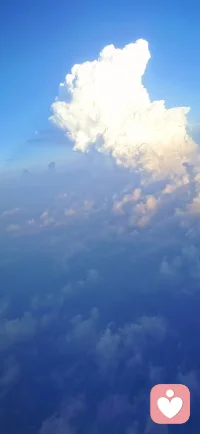 金钱道之歌！！！《命运共同体》
 
蓝星一域承穹苍，遍载人间万盏光
日月同辉临四壤，山河无隔脉流长
亘古同源根骨朗，千秋一脉世情昌
肤色纵殊形色相，同栖尘世共沧桑
风雨并肩征远壤，福祸同舟共暖肠
危难临尘施善壤，抬手相知皆暖阳
言语千殊音韵广，灵心一统共情长
文明似曜悬穹朗，各绽清辉映八荒
 以和为耀照穹苍，以爱为风润四方
扫尽纷争消戾气，拥怀晴宇沐天光
山海千秋根脉朗，苍生万姓血脉长
你我并肩开盛壤，九州同泰世荣昌
寰宇一家同运量，浮生共赴岁安康
 以和为耀照穹苍，以爱为风润四方
扫尽纷争消戾气，拥怀晴宇沐天光
大道同行昭世朗，心怀天下济洪荒
同舟踏浪征沧壤，何惧云涛万里长
 曾历烽烟忆旧殇，方知宁岁最堪彰
珍存太平千秋朗，共守山河万古昌
各呈锦绣风华朗，相融善美耀穹苍
共进同兴前路广，苍生无落岁恒昌
相扶相依乾坤朗，千秋远景续华章
东承礼义千秋朗，西纳哲思万古长
古圣真传皆浩荡，唯呼四海永安昌
 无分强弱势低昂，不辨尊卑品韵长
共守寰球清宁壤，生生世世续华章
涓滴汇海洪波朗，一缕澄光耀世昌
你我共生尘陌上，初心恒在岁悠长
命运同源通万象，同心共铸世辉煌
 寰宇一家同运量，山河万古脉流长
以和为耀照穹苍，以爱为风润四方
扫尽纷争消戾气，拥怀晴宇沐天光
大道同行昭世朗，心怀天下济洪荒
同舟踏浪征沧壤，何惧云涛万里长
万邦齐志逐新壤，同赴清宁盛世章
人间安泰乾坤朗，岁月从容万古昌配图