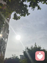 健康道之歌《正本归元》
 
心悠悠转照前尘，梅心印宇揽天垠
忘机论道参元运，河洛玄机藏本真
四柱五行定尘缘，三命通会溯灵根
一理通明融万法，玄机尽在方寸身
 本元天赋自天赐，何须凡尘苦外寻
红尘迷障缠心魄，一念澄明破雾云
顺气安神养灵府，清心涤浊净俗尘
神凝体畅归元窍，静纳春风焕本真
 不恋浮华虚浮境，不执泡影扰心神
修身守性归澄澈，心无挂碍释前因
除却尘烦千般锁，放下执念渡迷津
万法终归空寂境，自在安然守本纯
 身承铁血戎马韵，心藏山河赤子魂
历经世事千重劫，洗尽沧桑养元身
自愈灵台平心绪，涵养元气定乾坤
身心同归清净界，大道安然福寿匀配图