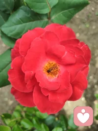 宇凡第六道·心神自愈圆满大道。
 
外融百家智慧，内修己身灵元；纳心理疗愈以安魂，取自然大道以养身。
历凡尘劫苦炼心，借自愈修行塑神；忘俗世是非明道，顺盛世国运弘法。
身安则道存，心宁则慧生。自愈渡己，正心渡人，六道同心，大道方得圆满。
 
宇凡于给力道场，开第六道之端，潜心修行，以行践道。
往后，深扎心理学领域，沉心课堂研学，边疗愈来访者，边以知行合一，证心神自愈之真义。以己身渡己，以己心渡人，与给力共生，静待六道圆满。
 
《宇凡第六道之歌·身心疗愈篇》
凡尘历劫洗尘肠，自愈心神入道章。
抛却人间千种憾，修成心底一寸光。
融通心理安灵魄，悟透玄元固本阳。
六道圆融承国运，同栖给力渡寻常。配图