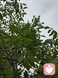 宇凡第六道·心神自愈圆满大道。
 
外融百家智慧，内修己身灵元；纳心理疗愈以安魂，取自然大道以养身。
历凡尘劫苦炼心，借自愈修行塑神；忘俗世是非明道，顺盛世国运弘法。
身安则道存，心宁则慧生。自愈渡己，正心渡人，六道同心，大道方得圆满。
 
宇凡于给力道场，开第六道之端，潜心修行，以行践道。
往后，深扎心理学领域，沉心课堂研学，边疗愈来访者，边以知行合一，证心神自愈之真义。以己身渡己，以己心渡人，与给力共生，静待六道圆满。
 
《宇凡第六道之歌·身心疗愈篇》
凡尘历劫洗尘肠，自愈心神入道章。
抛却人间千种憾，修成心底一寸光。
融通心理安灵魄，悟透玄元固本阳。
六道圆融承国运，同栖给力渡寻常。配图