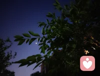 生命的乐章：有限的生命里创造无限的可能！配图