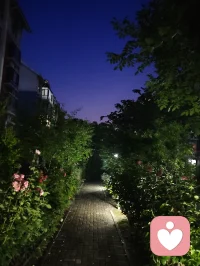 生命的乐章：有限的生命里创造无限的可能！配图