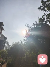 晨光是自然最温柔的疗愈。阳光穿叶，花木凝露，石榴花与蔷薇次第舒展。草木含灵，向阳而生，心亦随光而行，万物皆是成长的力量。配图