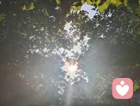 晨光穿林，光影交错，恰如宇凡道六道相融，浑然天成。天道循序，地道载物，人道立心，金钱道流通，健康道为基，心神疗愈道归真。六道圆满，共生同频。宇凡在给力平台，以倾听渡人，亦以自愈渡己，与众生同修，与大爱共生。配图