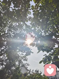 宇凡养心歌
缘合双玄云道真，造化灵虚定还身。
先天灵符承陈旧，心里迷惘争本根。
血脉承元含灵韵，本有灵光被俗封。
杂念缠绕遮慧心，浮游扰意困元神。  
晨昏颠倒耗元气，贪享安逸损刚纯。
心气焦躁折命星，自愈本功暗离尘。
本源天赋皆天赐，何须向外苦追寻。
红尘无障缠心色，一念清明破密云。
顺时安卧养灵府，清心寡欲涤浊尘。
身轻体健行古脉，静念安和常回真。
赤诚一念通元窍，春风潜能自显生。
不恋浮华虚妄景，不逐世间泡影痕。
修身心正归沉澈，心无挂碍缘分扎。
解开累世无明锁，吉因圆满复本春。
本源清净沉尘久，灵明常在定幻身。
潜能觉醒造化经，身心安泰天灵赋。
宇宙万法归一处，凡身造化灵赋声。配图