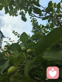 心归澄澈无杂念，宇凡本真自在生。配图