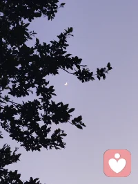 暮色漫染长空，一轮明月高悬天幕，褪去尘世喧嚣，灯火轻绽温柔。揽清辉入怀，携风月同行，于静谧夜色里藏尽万般浪漫，心随月色安然，岁岁皆有诗意相伴。配图